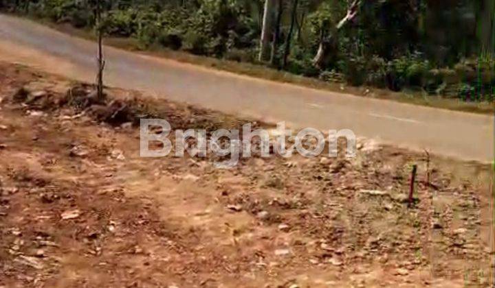 TANAH KAVLING SIAP BANGUN DI SAJIRA RANGKAS BITUNG LEBAK BANTEN 2