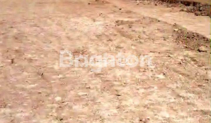 TANAH KAVLING SIAP BANGUN DI SAJIRA RANGKAS BITUNG LEBAK BANTEN 1