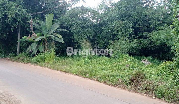 DI JUAL TANAH KAVLING STRATEGIS DESA JAMPLANG GUNUNG SINDUR BOGOR JAWA BARAT 2