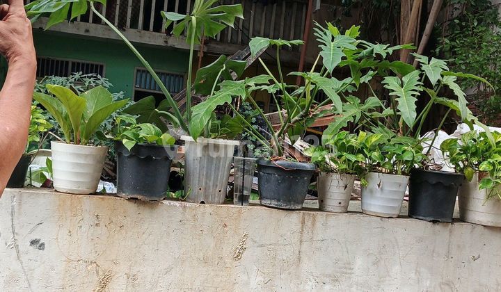 Land Plot For Sale Cheap Kemanggisan West Jakarta