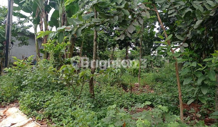 DI JUAL TANAH KAVLING KEC GUNUNG SINDUR KP CIMANGIR BOGOR JAWA BARAT DI JUAL TANAH KAVLING KEC GUNUNG SINDUR KP CIMANGIR BOGOR JAWA BARAT