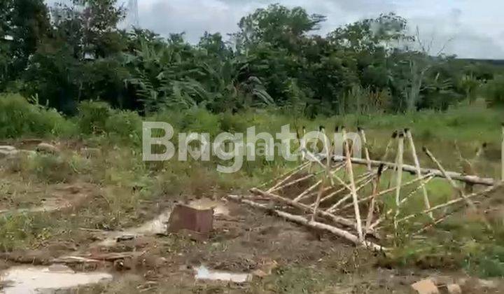 DI SEWAKAN LAHAN RATA PINGGIR JALAN AKSES TPK KARIANGAU BALIKPAPAN UTARA KALIMANTAN TIMUR 2