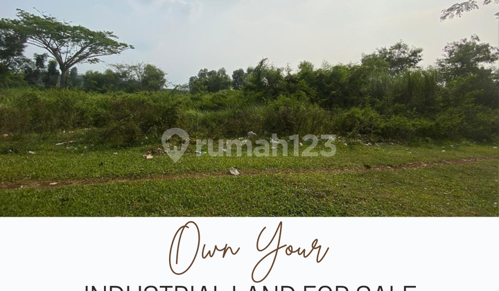 Dijual Murah Tanah Industri 990 M Delta Silicon Lippo Cikarang Dijual Murah Tanah Industri 990 M Delta Silicon Lippo Cikarang