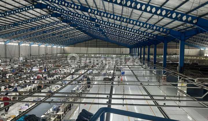 For Rent: Ready-to-Use Spacious Warehouse in Subang For Rent: Ready-to-Use Spacious Warehouse in Subang
