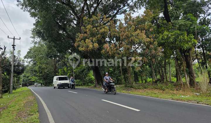 Quick Sale Cheap Strategic Land Main Road Sumber Cirebon