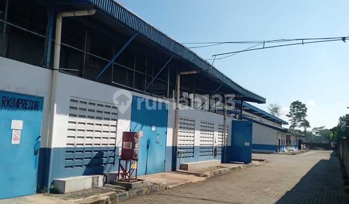 For Rent: Ready-to-Use Spacious Warehouse in Subang For Rent: Ready-to-Use Spacious Warehouse in Subang