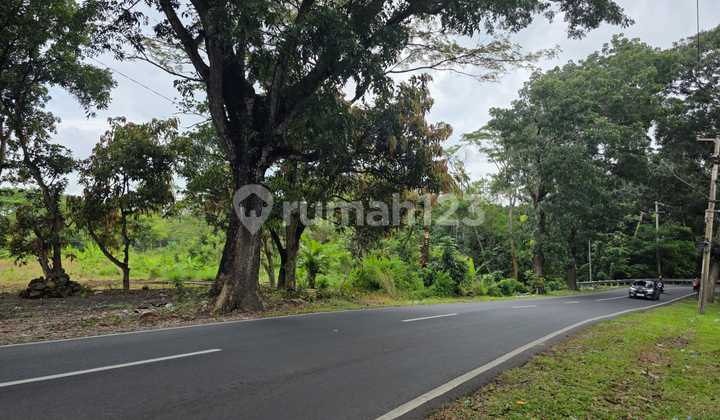 Quick Sale Cheap Strategic Land Main Road Sumber Cirebon