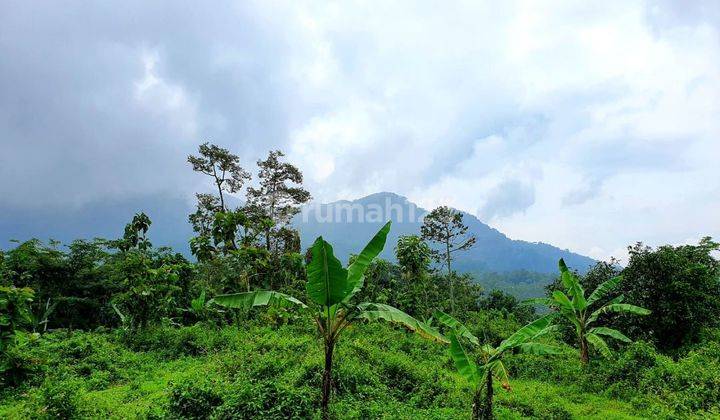 Dijual Tanah D Trawas View Bagus Lokasi Strategis 2