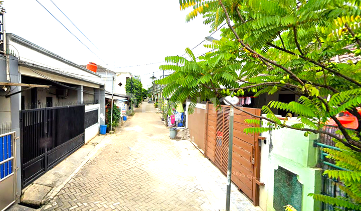 For Rent Cibodas Garden House. 8x12. Two-Car Road For Rent Cibodas Garden House. 8x12. Two-Car Road
