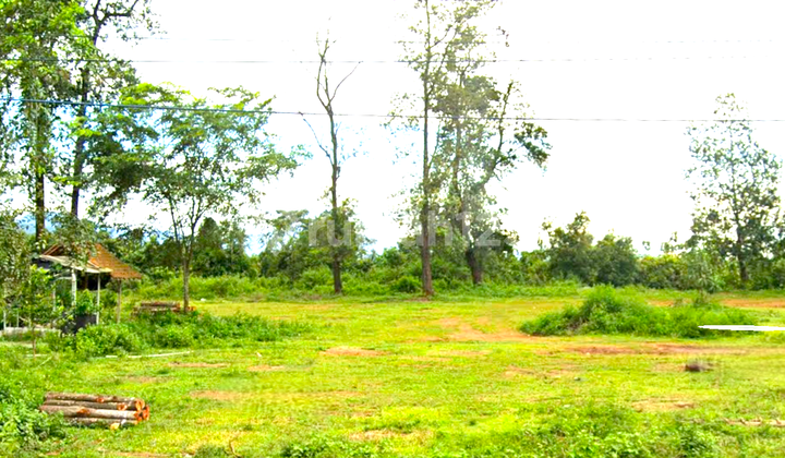 Kavling Tanah Parung Panjang. Luas 2 Hektar. Jalan Raya 4 Mobil. 13 KM ke Tol Serpong Balaraja.