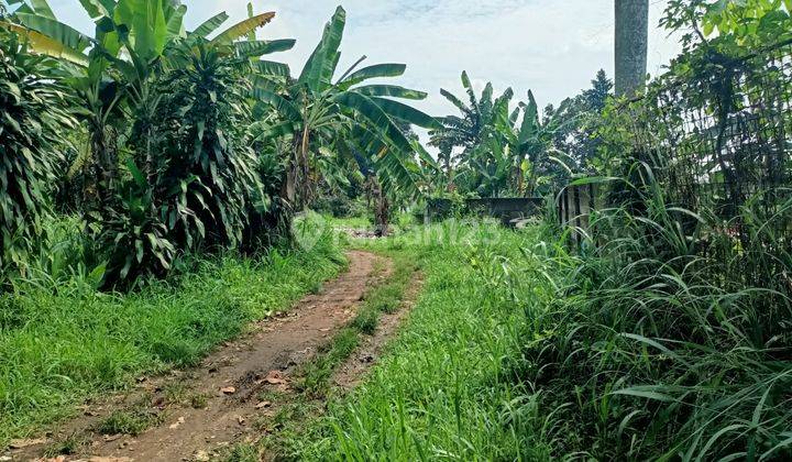 Tanah 6.055 Ajb Kemiri Pondok Cabe Pamulang, Tangerang Selatan 1