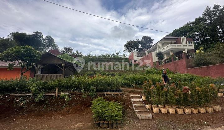 Dijual Sebidang Tanah Letak Sangat Strategis di Samping Persis Villa Ck 100, di Cisarua Bogor Dijual Sebidang Tanah Letak Sangat Strategis di Samping Persis Villa Ck 100, di Cisarua Bogor