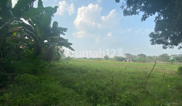 Land for Sale, 1000 m2, Can Be Used as a Workshop, Warehouse, or House, Located in Cijengkol Setu, 800 Meters from Grand Wisata Mall Bekasi. Land for Sale, 1000 m2, Can Be Used as a Workshop, Warehouse, or House, Located in Cijengkol Setu, 800 Meters from Grand Wisata Mall Bekasi.