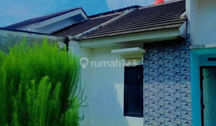 Rumah Oper Kredit 65jt, Di Pinus Ciomas Bogor  2