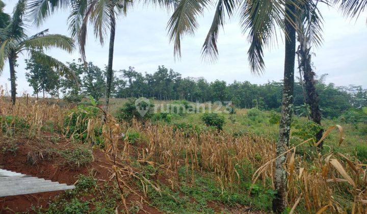  Tanah di Saguling SHM - Sertifikat Hak Milik 15000 Squaremeter 2