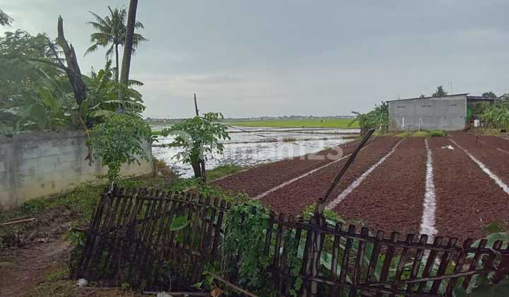 Tanah di Babelan SHM 12729.0 m² Tanah di Babelan SHM 12729.0 m²