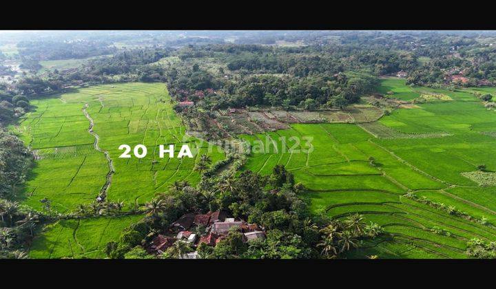  Tanah di Cianjur SHM - Sertifikat Hak Milik 200000 Squaremeter 1