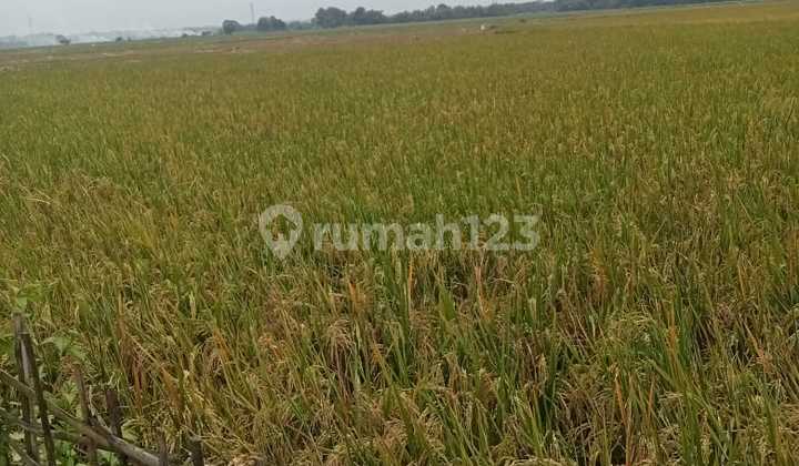 Land in Cibarusah, Certificate of Ownership (SHM) 4000.0 m² Land in Cibarusah, Certificate of Ownership (SHM) 4000.0 m²