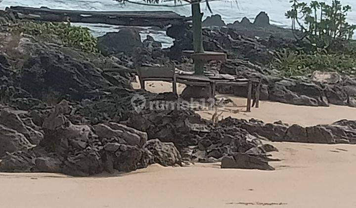 Tanah Perkebunan Luas Di Area Bayah Lebak Banten 1