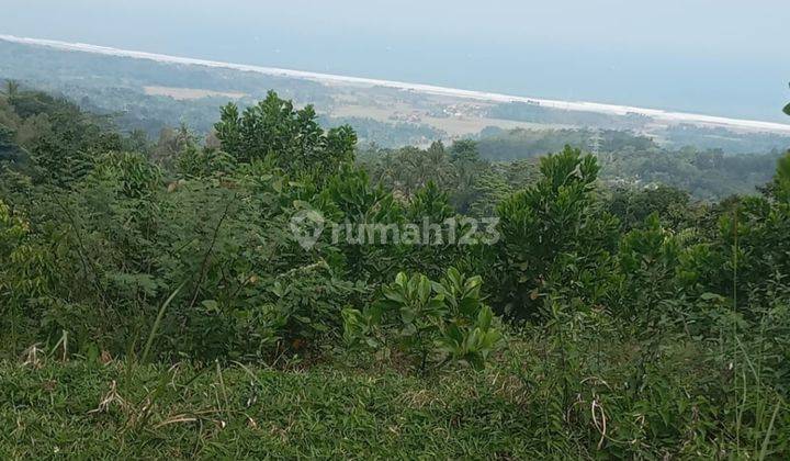 Tanah Perkebunan Luas Di Area Bayah Lebak Banten 2