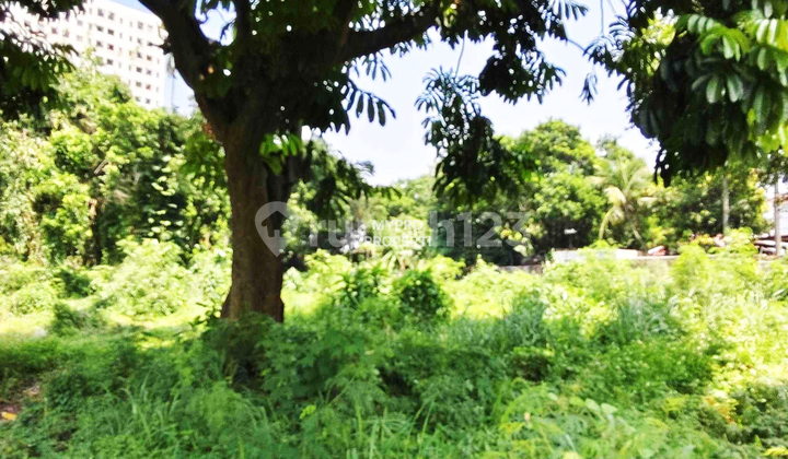 DISEWA TANAH JAKARTA SELATAN TANAH KAVLING KEBAGUSAN TB SIMATUPANG 2500 M2 COCOK UNTUK LAPANGAN PADEL