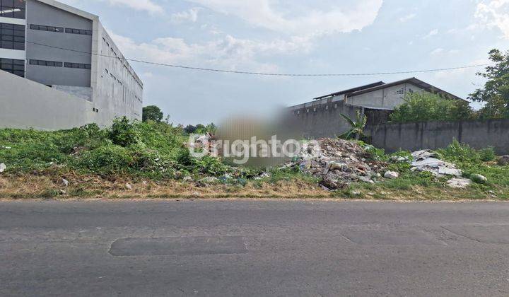 TANAH PEKARANGAN PINGGIR JALAN BESAR DI WARINGIN REJO DEKAT KONIMEX 1