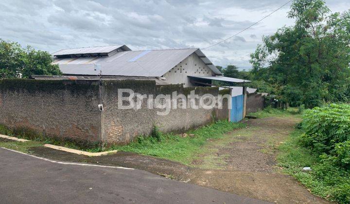 SUKOHARJO : PETERNAKAN AYAM PETELUR LUAS : +/-1.8HA . AKTIF. SHM. IJIN LENGKAP 1