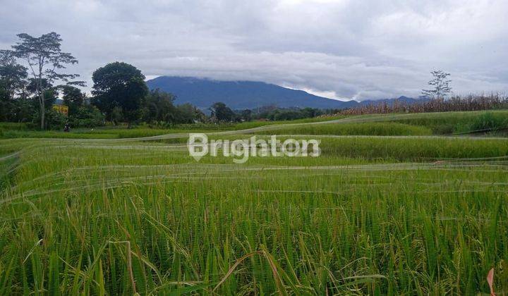 KARANGPANDAN-KARANGANYAR : TANAH PEKARANGAN SHM LUAS 2190m2.  1