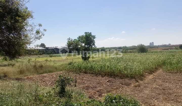 For Sale Land in Randegansari Driyorejo near Sumo Toll Road For Sale Land in Randegansari Driyorejo near Sumo Toll Road