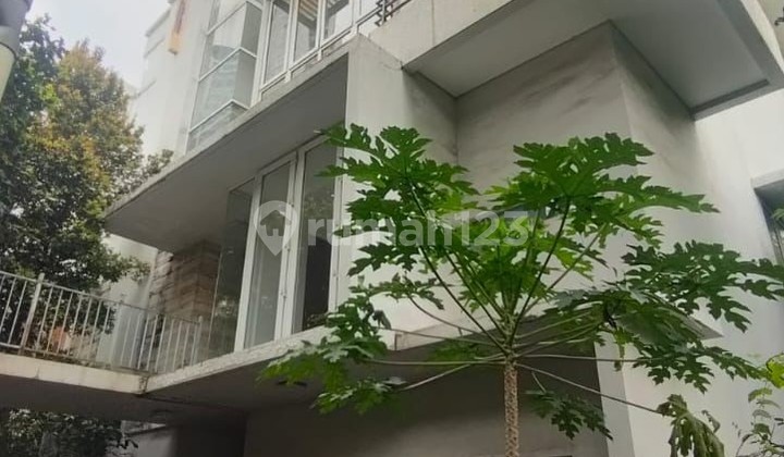 Rumah Murah Dibawah Harga Pasaran Perumahan Springhill Golf Residence Pademangan Timur Pademangan Jakarta Utara Rumah Murah Dibawah Harga Pasaran Perumahan Springhill Golf Residence Pademangan Timur Pademangan Jakarta Utara