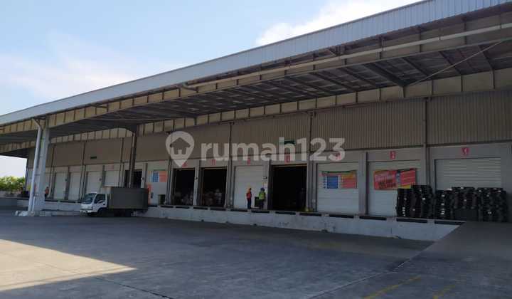 Warehouse For Rent and For Sale in Jababeka Industrial Area
