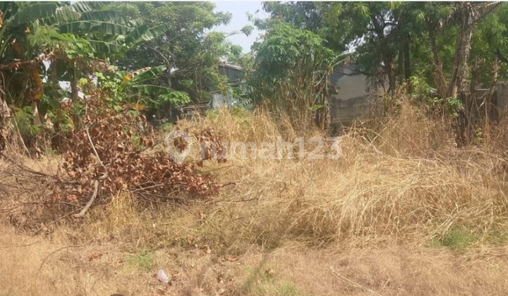 Dijual Tanah / Kavling Di Rorotan, Kec.cilincing Jakarta