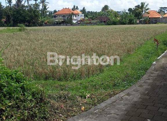 Di jual Cepat Lahan di UBUD cocok untuk Perumahan 2