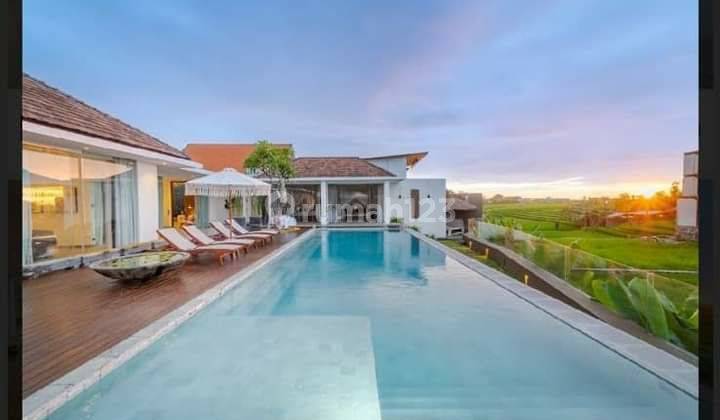 Canggu Babangan villa for sale with rice field view 1