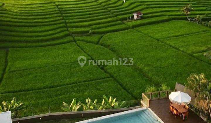 Canggu Babangan villa for sale with rice field view 2