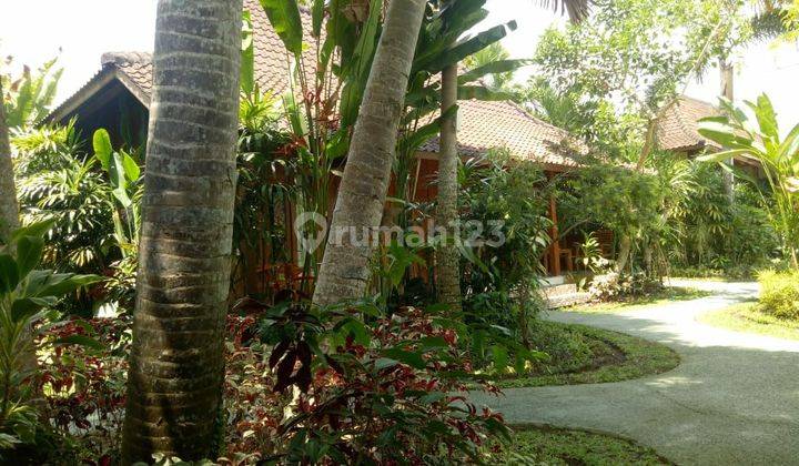 Dijual hotel di ubud panestanan 2