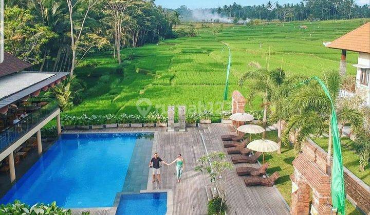 For sale, hotel with full view of rice fields in Ubud, Gianyar, Bali 2