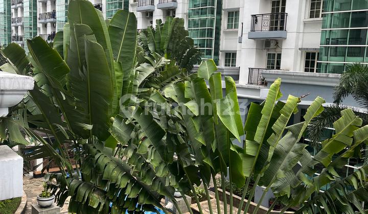 Disewakan Apartemen Gading Resort Resort Residences 3+1 Br Furnish Baru 2