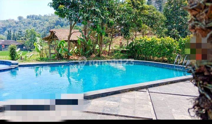 Dijual Villa Dengan Sawah Pancawati, Caringin Bogor 2