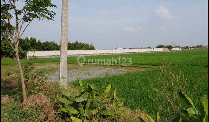 Dijual Murah Sebidang Tanah Komersil di Karawang Barat Jawa Barat 1