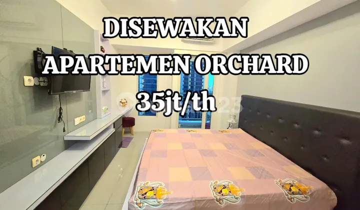 Apartemen Surabaya Barat Pakuwon Mall Disewakan 35jt/tahun Apartemen Surabaya Barat Pakuwon Mall Disewakan 35jt/tahun