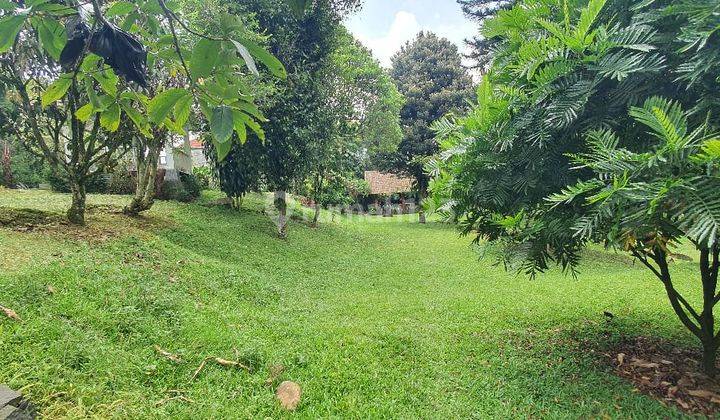 Dilelang Vila Harga Murah Lokasi Strategis Jalan Raya Puncak 1