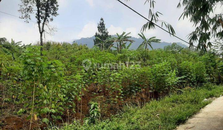 Lelang 1 Bidang Tanah Lokasi Strategis di Kawasan Sentul City 2