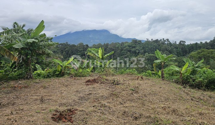 Land For Sale Suitable For Villas, Islamic Boarding Schools, And Plantations Land For Sale Suitable For Villas, Islamic Boarding Schools, And Plantations