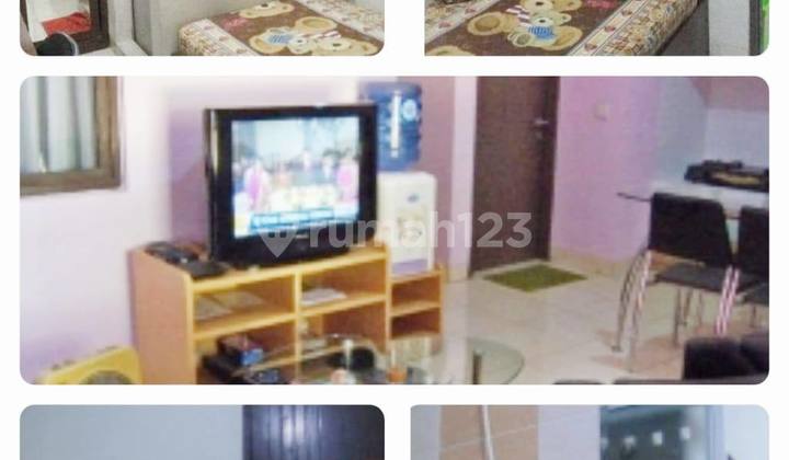 Dijual Rumah Kost Cluster Studento Foresta Bsd City