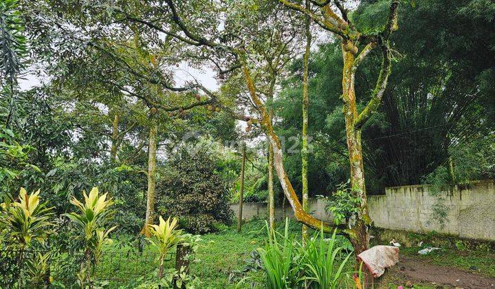 Jual Kebun Durian Plus Villa Dibogor 2