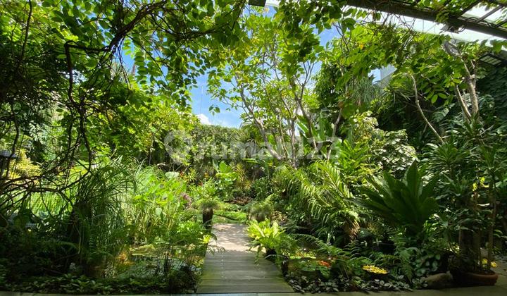 Dijual Rumah Asri Menteng, Jakarta Pusat  2