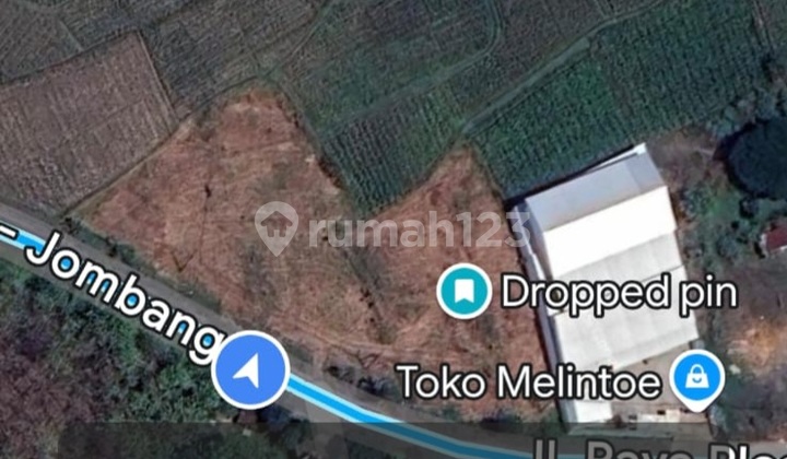 Juak Tanah Di Lamongan Ngimbang 1
