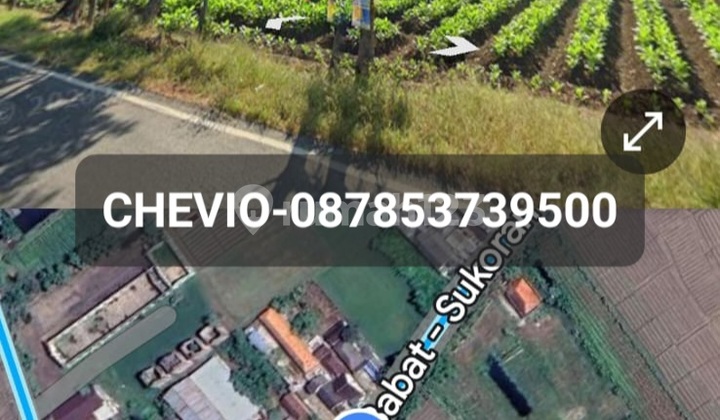 Jual Tanah Di Kedungpring Lamongan 1