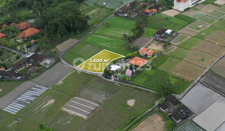 Great Opportunity: Affordable Leasehold Land In Sukawati Ubud Great Opportunity: Affordable Leasehold Land In Sukawati Ubud
